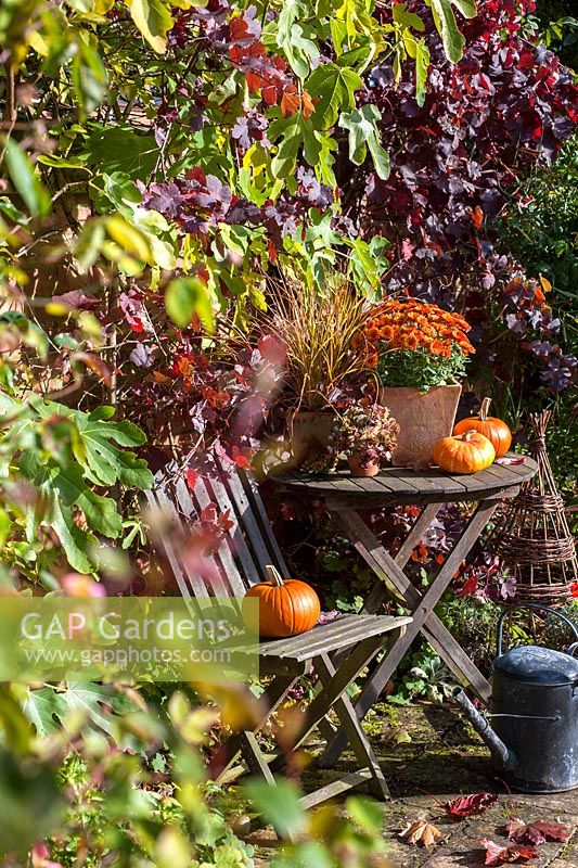 Autumn containers with squashes including  Chysanthemums and Carex