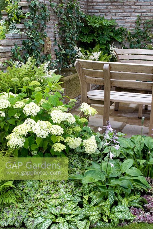 Wooden benches on stone patio with brick wall and water trough and fountain and attractive green and white planting with Ajuga, Hosta, Geranium, Fatsia, Pulmonaria, Hydrangea, Hedera and ferns in the 'Enchantment' garden