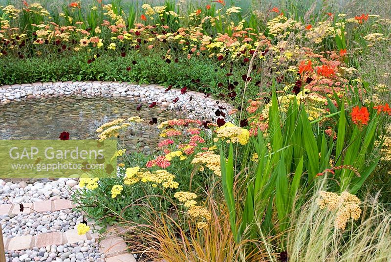 Circular pool with spreading circles of pebbles and planting of Cosmos atrosanguineus, Achillea, Crocosmia and grasses in the 'To The Beat'. Gold medal winner and Best Orchestra Garden - RHS Tatton Flower Show 2012
