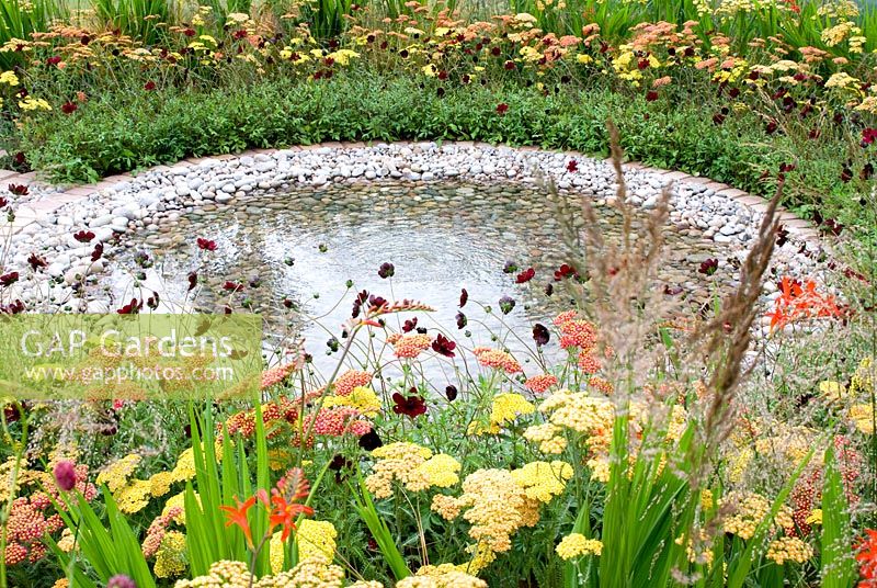 Central rippling pool with spreading circles of pebbles and planting of Cosmos atrosanguineus, Achillea and Crocosmia in the 'To The Beat'. Gold medal winner and Best Orchestra Garden - RHS Tatton Flower Show 2012