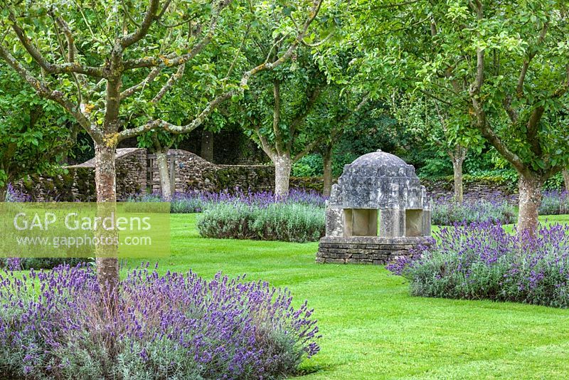 The Lavender Garden, Highgrove, August 2012. 