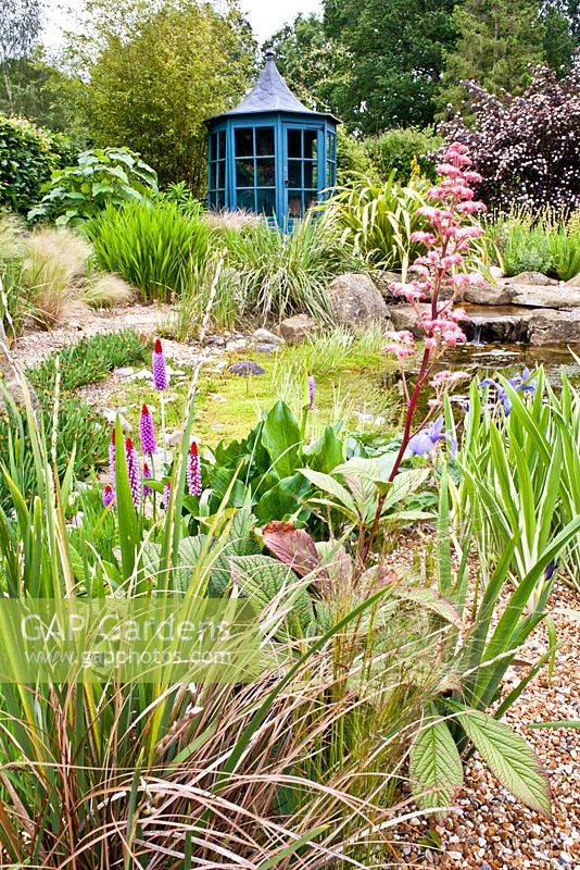 Pond area with gravel planting and blue painted gazebo, planting includes Rodgersia pinnata 'Maurice Mason', Primula vialii and Iris