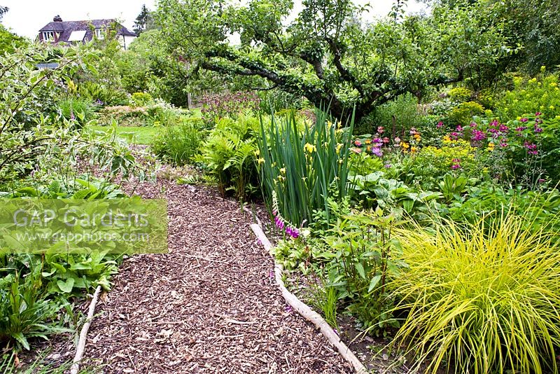 Curved bark path leading between early summer borders