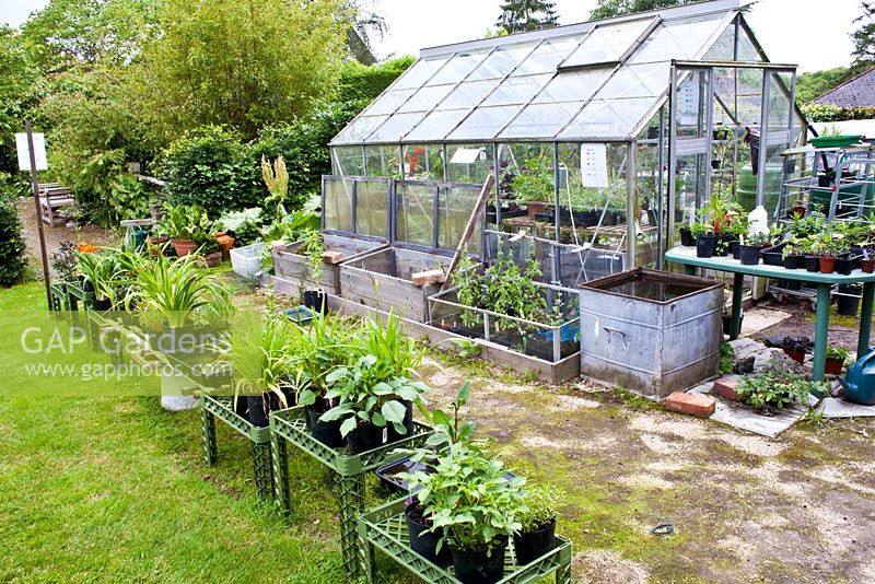 Greenhouse and potted plants 