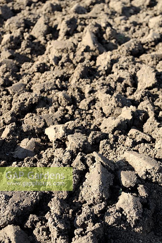 Soil after mechanical rotavator