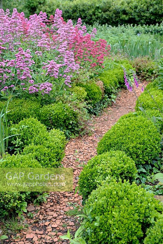 Brick chippings pathway edged with low hedge Buxus and Centranthus ruberJardins du Chateau de la Roche Jagu, France