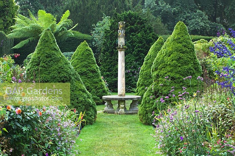 Sundial Garden - Conical Piceas, Salvia, Verbena bonariensis, Dahlia, Fuchsia and Dicksonia antarctica - Exbury Gardens, Hampshire 