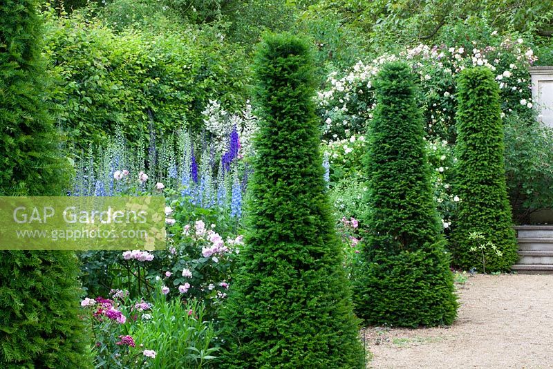 The delphinium border at Hanham Court. Yew topiary pillars