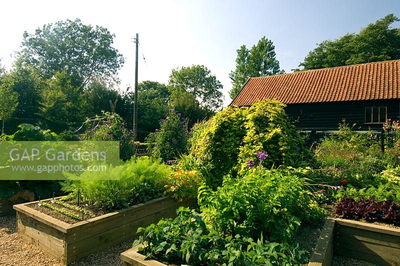Raised beds in vegetable garden