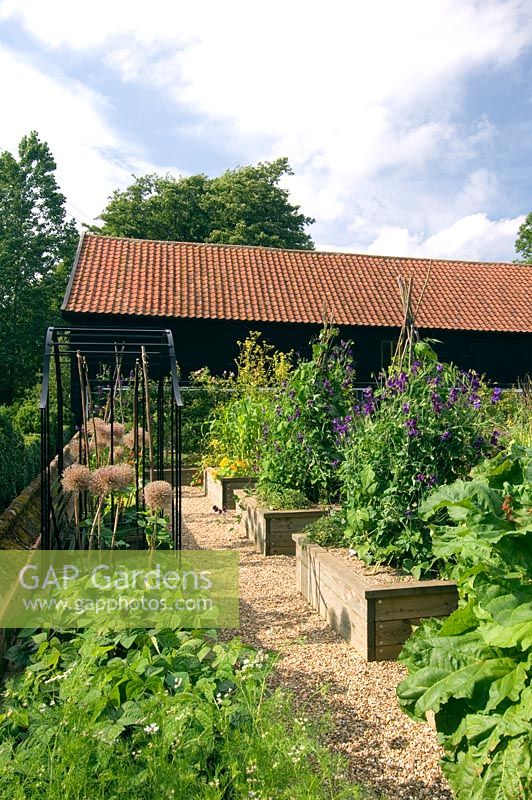 Vegetable garden with raised beds, gravel paths and Lathyrus