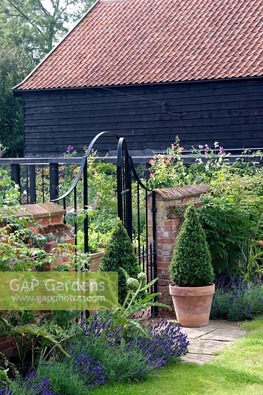 Boundary wall, gate and pots of box topiary