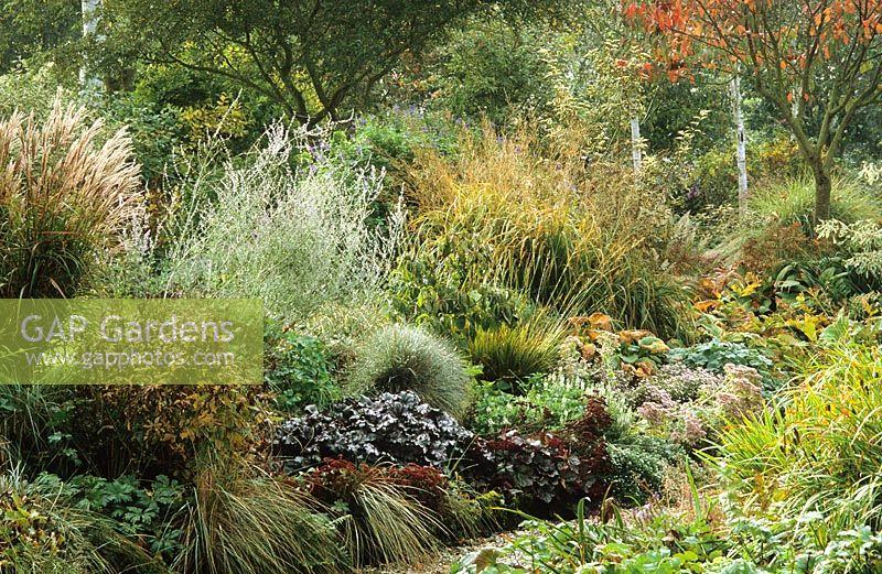 Mixed autumnal border with strong foliage interest from perovskia, miscanthus, heuchera and molinia.
