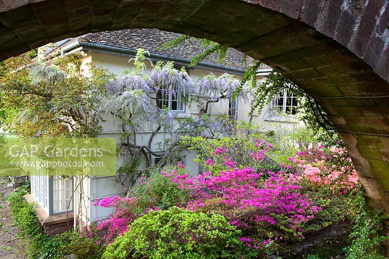 Looking through the circular arch towards the azaleas and wisteria by the house at Greencombe Gardens, Somerset