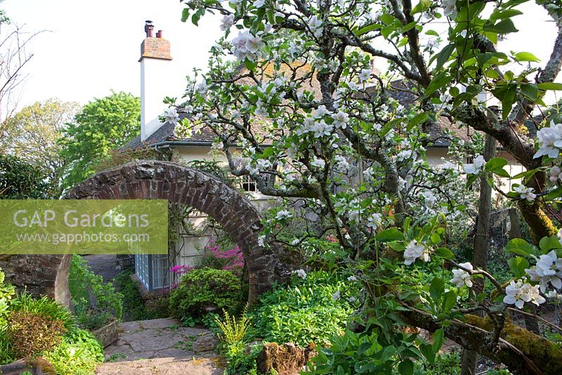 View from vegetable garden towards the circular stone arch and house with azaleas and wisteria. Greencombe Gardens, Somerset
