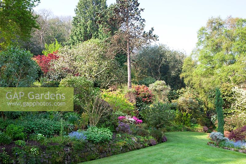 The main borders near the house at Greencombe Gardens, Somerset