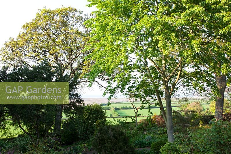 View out from the garden towards the countryside and Bristol Channel at Greencombe Gardens, Somerset