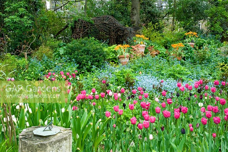 Spring garden with Tulipa 'Barcelona' and sundial. Large metal cow sculpture in background