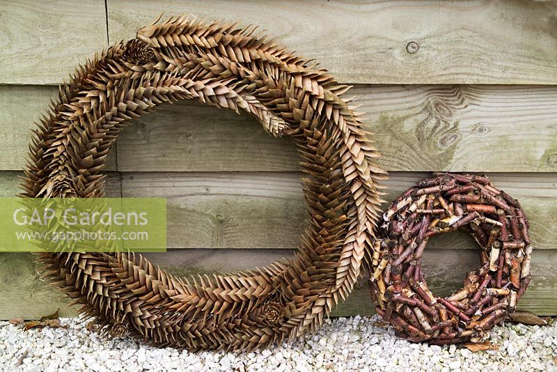 Wreaths made from monkey puzzle  foliage