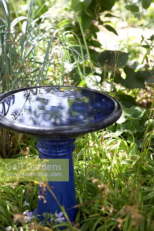 'Dragons' garden.  Blue ceramic bird bath.