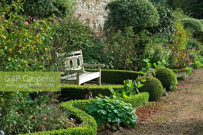 Buxus hedge with wooden bench
