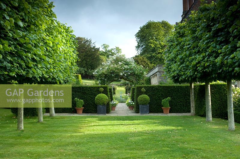 Line of lime trees flanking lawn. Taxus hedge and rose covered arbour