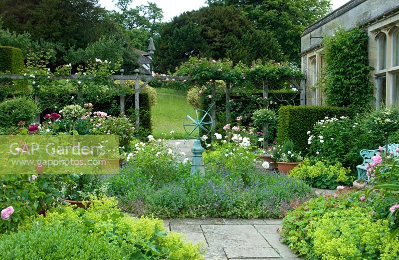 Summer courtyard area beside large country house with yorkstone paving and borders of Rosa, Alchemilla mollis and Nepeta
