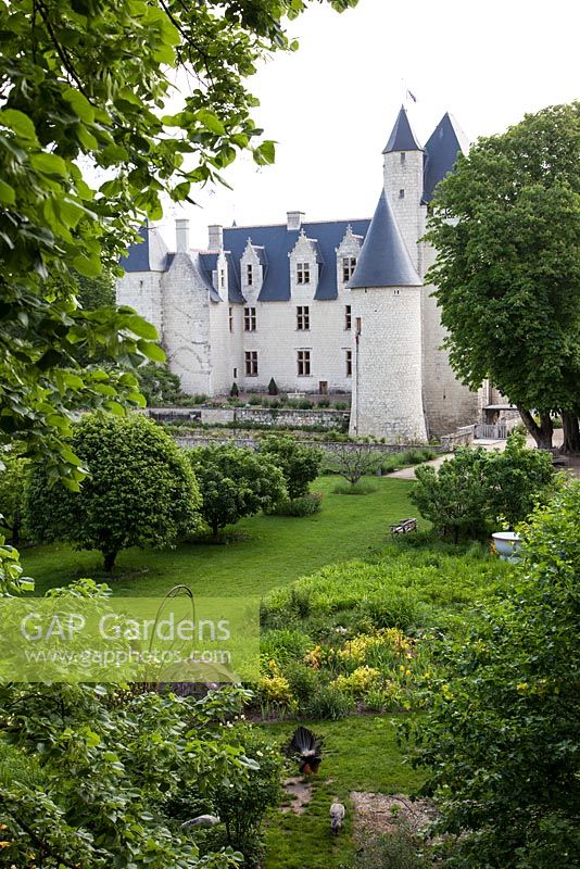 Gardens seen from the South West - Chateau du Rivau, Lemere, Loire Valley, France