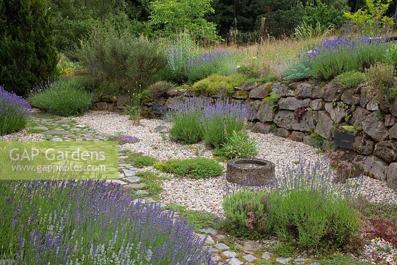 Gravel garden with granite paved pathway, dry stone wall and a water basin. Plants are Lavandula, Salvia officinalis and Thymus