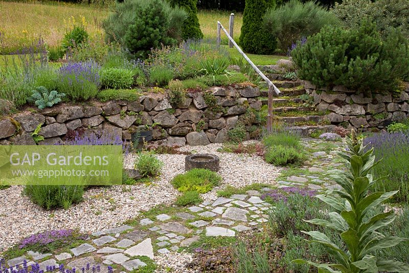 Gravel garden with granite paved pathway, water basin, a dry stone wall and moss covered granite stairs to an upper level. Plants are Euphorbia myrsinites, Lavandula, Pinus mugo, Thymus and Verbascum