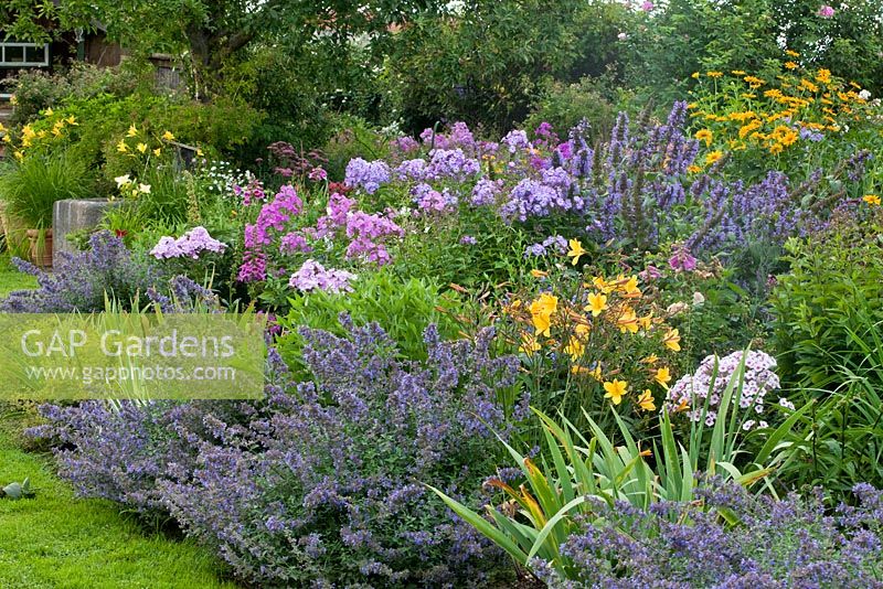 Perennial border in ... stock photo by Christa Brand, Image: 0361961