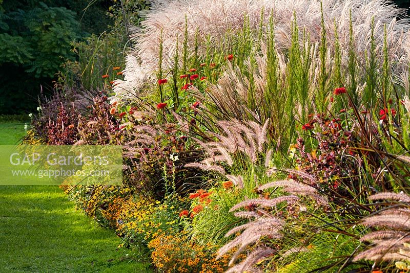 Mixed late summer border with ornamental grasses 