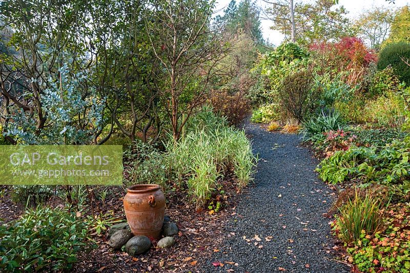 Path through upper garden with decorative urn and eucalyptus. The Dingle Garden, Welshpool, Powys, Wales