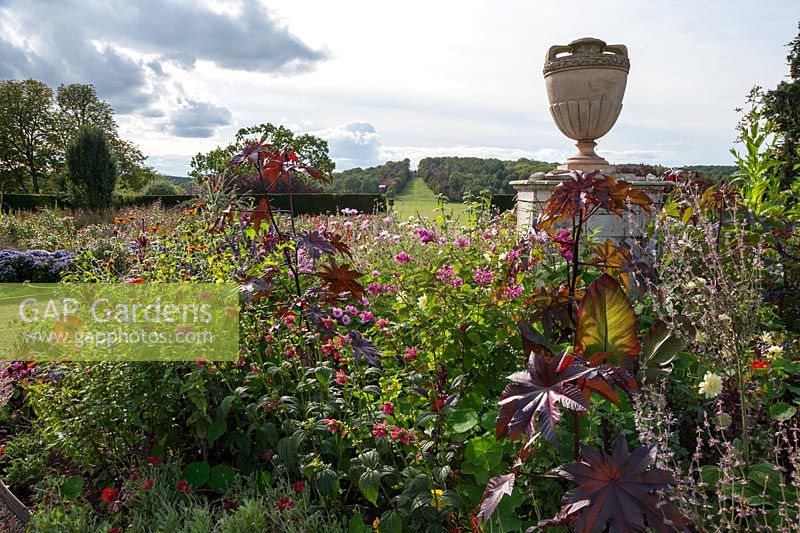 Centre circular bed in the rose garden with urn surrounded by a mass of flowers including amaranthus, dahlias, salvias and ricinus
