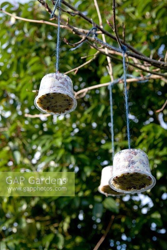 Step by step for creating hanging bird feeders out of teacups and yoghurt pots