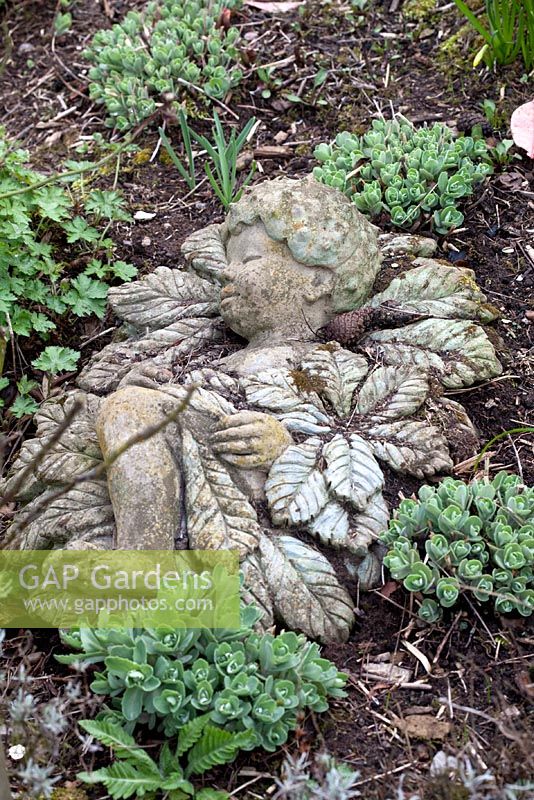 Stone statue amongst Sedum - Millennium Garden, Lichfield in spring