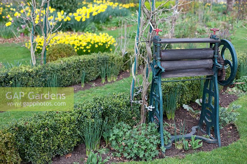 Vintage Mangle as ornament - Millennium Garden, Lichfield, spring
