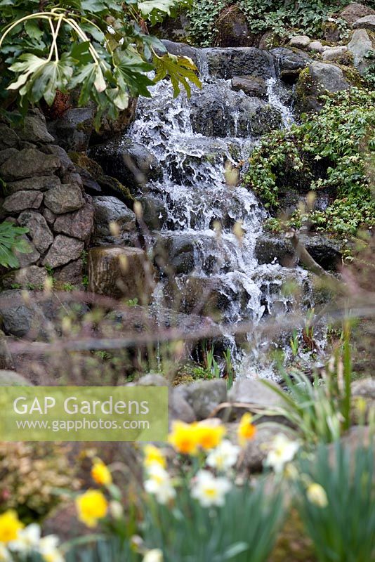 Waterfall - Millennium Garden, Lichfield, spring