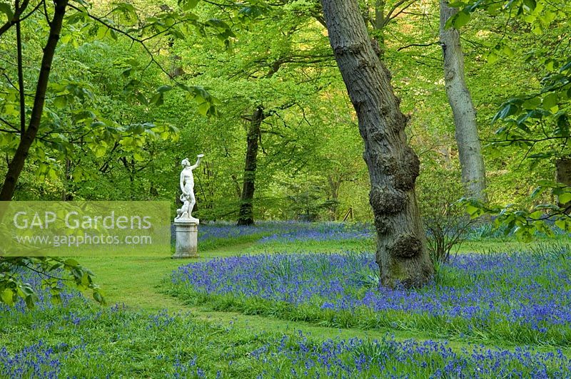 Stone statue in woodland garden with bluebells 
