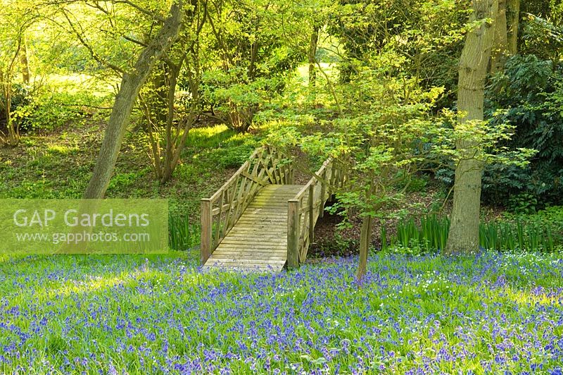 Wooden bridge in woodland garden, spring 