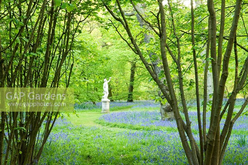 Stone statue in woodland garden with bluebells 