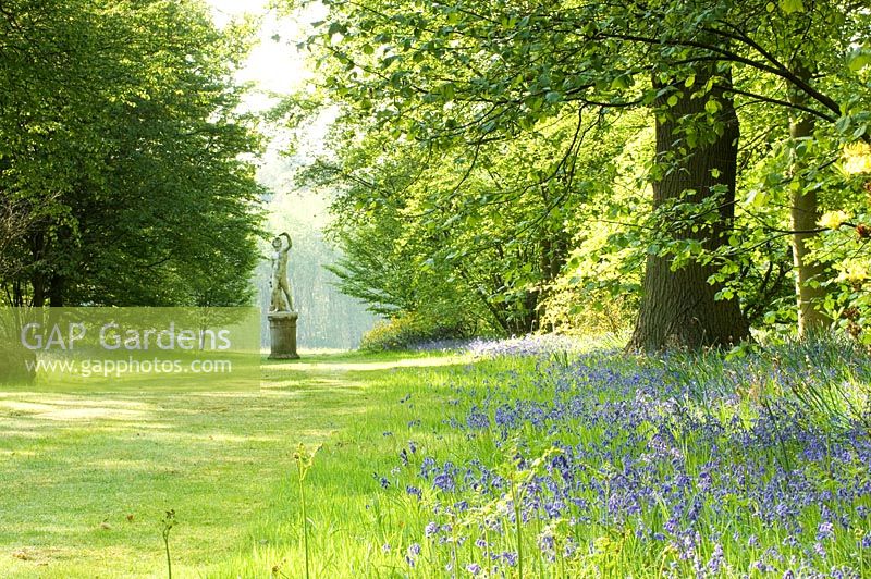 Woodland garden with statue and bluebells in Spring