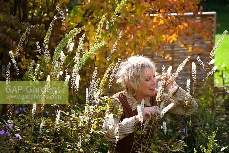 Carol Klein enjoying the scent of Cimicifuga racemosa syn. Actaea racemosa