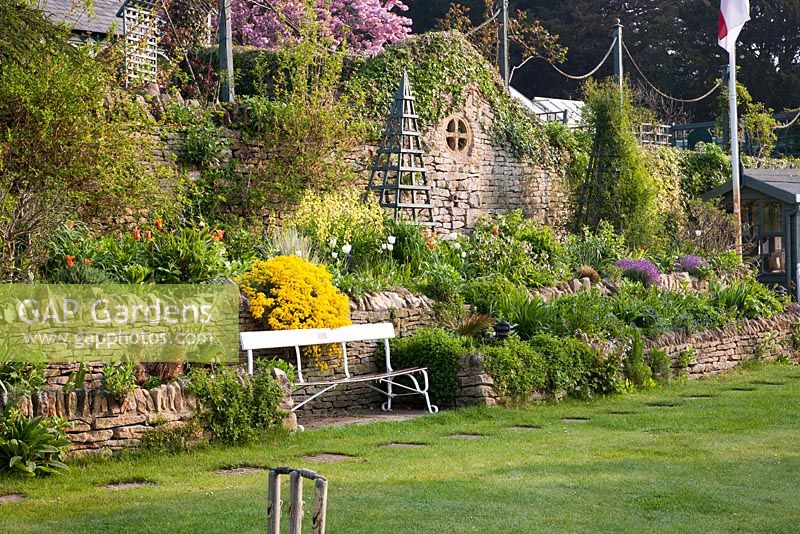 Vintage cricket bench alongside spring bed including mixed Tulipa, Thermopsis caroliniana  and Aurinia saxatilis with cricket lawn - Mill Dene, Gloucestershire