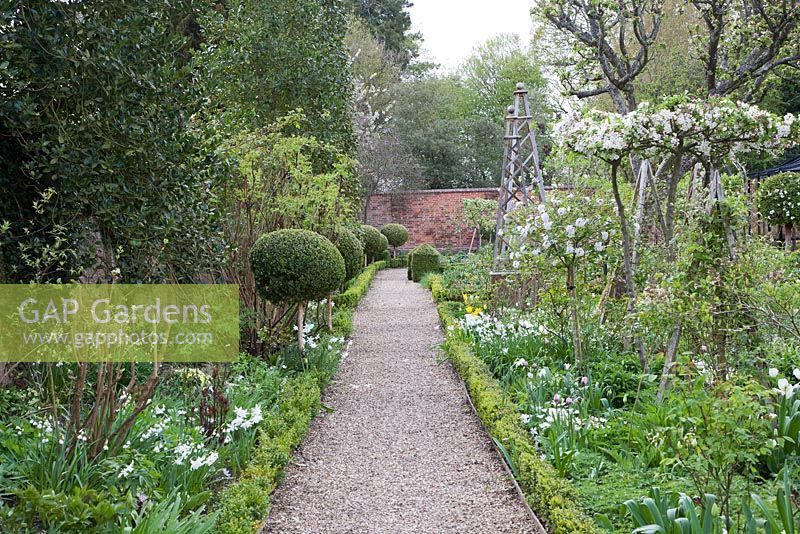 Spring planting alongside formal pathway with Topiary and obelisk - West Green House, Hampshire