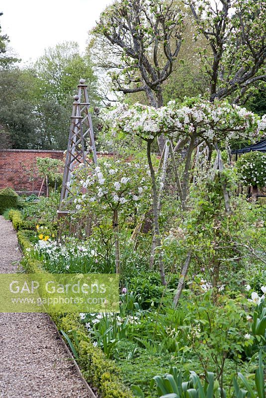 Spring planting alongside formal pathway with obelisk - West Green House, Hampshire