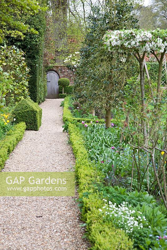 Formal path with low Buxus hedging towards arched gateway - West Green House, Hampshire