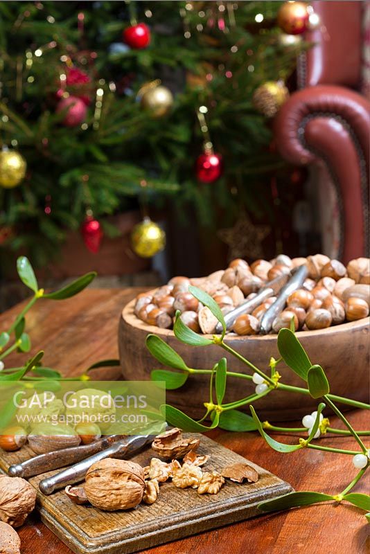 Nuts and nutcrackers on a table at home with Christmas tree in the background