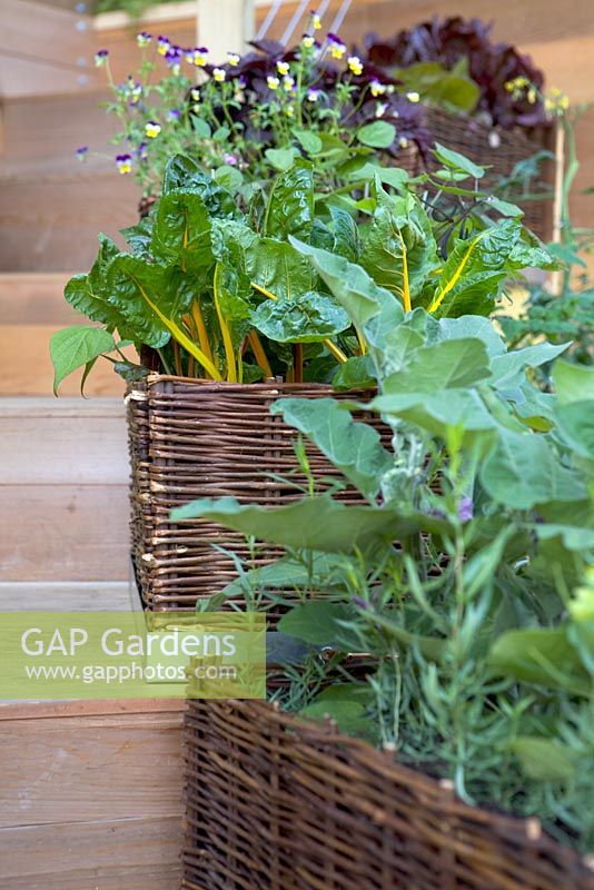 Swiss chard and aubergine plants growing in willow planter. The Burgon and Ball 5-a-day Garden. Hampton Court Flower Show 2012