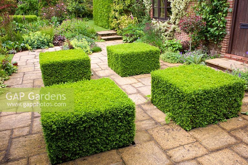 Courtyard with clipped Buxus - Mount Court Farmhouse