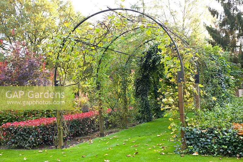 Archway with climbing plants